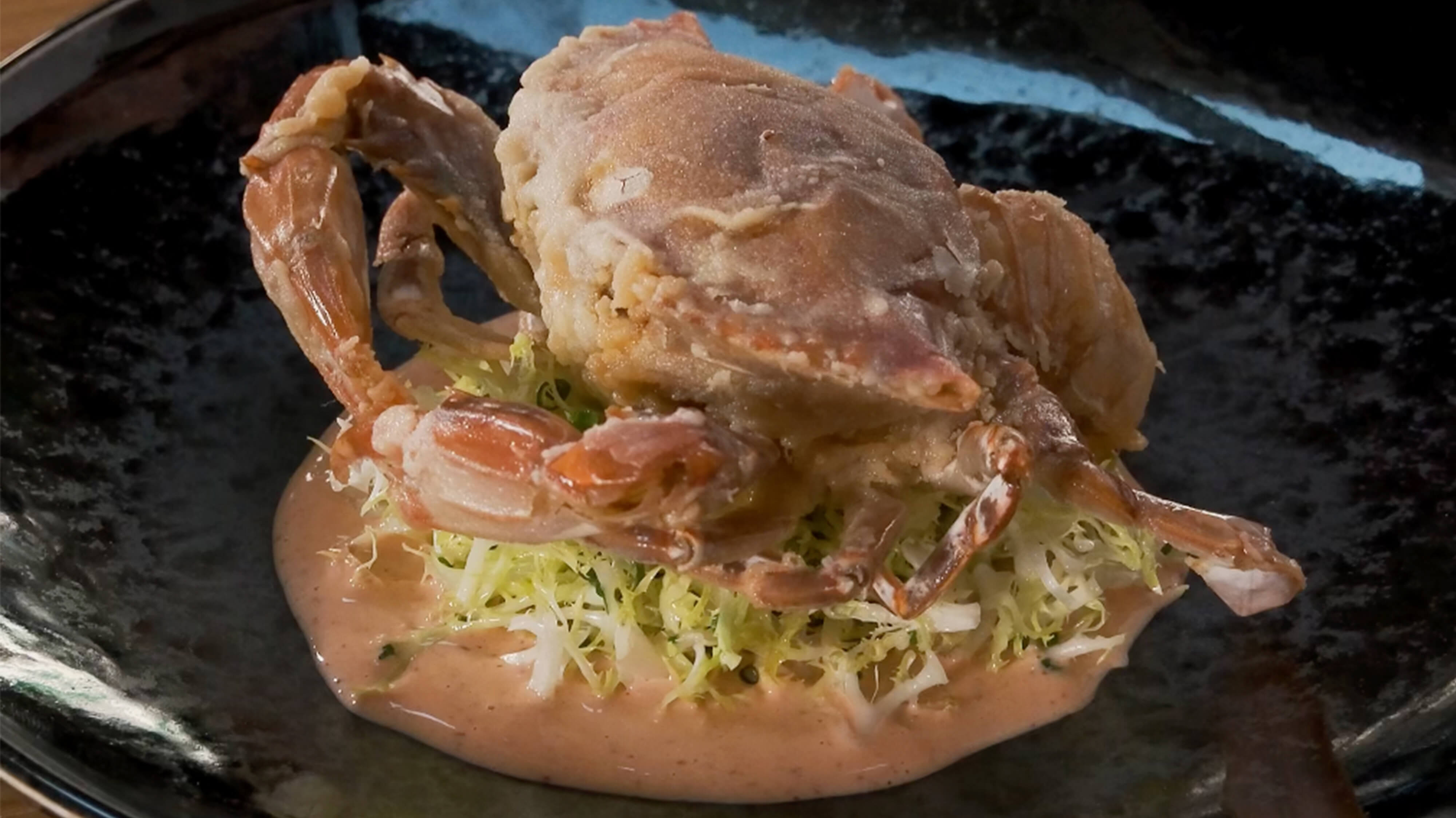 20241015212500-soft-20shell-